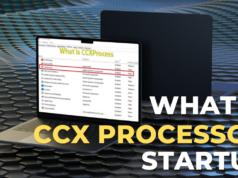 What Is CCXProcess On Startup