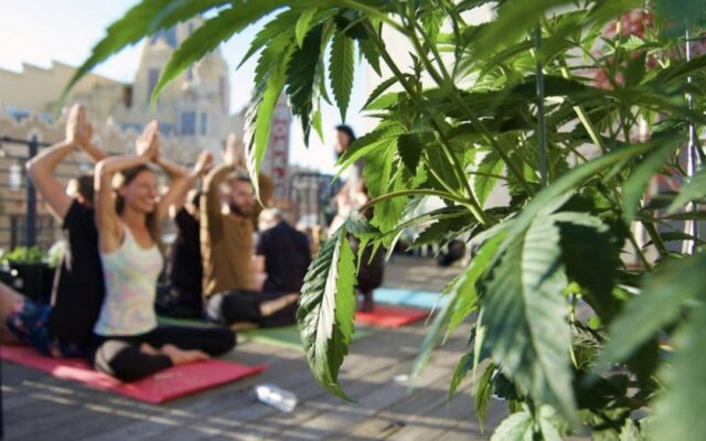 Yoga and Cannabis