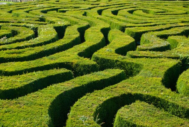 Lost in the Maze