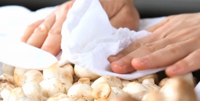 Wiping Portobello mushrooms with a Damp Cloth or Paper Towel