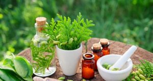 How Homeopathic Remedies Restore Balance and Well-Being