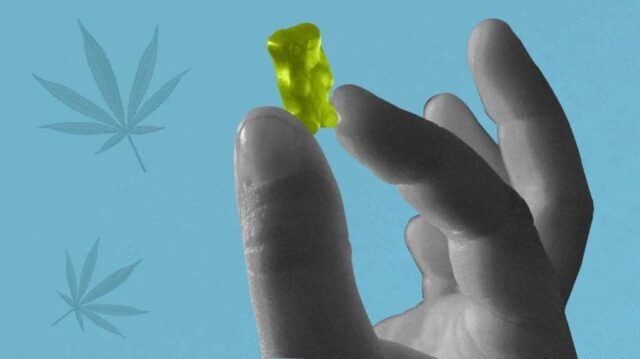 Understanding How CBD Gummies Deliver Health Effects for Consumers