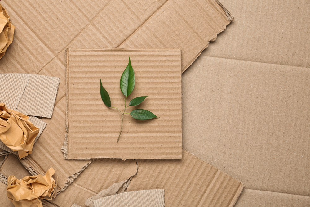 Green,Leaves,And,Crumpled,Paper,On,Carton,,Top,View,With