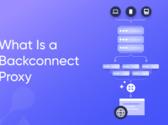 BackConnect Proxies in Contemporary Cybersecurity