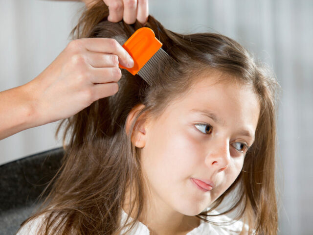 Lice Removal Methods